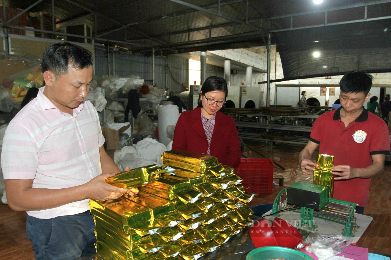 Một Hợp tác xã ở Thái Nguyên giúp nông dân có thêm việc làm, thu mua chè tươi hơn 30.000 đồng/kg - Ảnh 1.