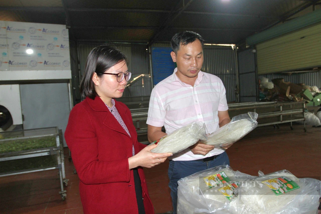 Một Hợp tác xã ở Thái Nguyên giúp nông dân có thêm việc làm, thu mua chè tươi hơn 30.000 đồng/kg - Ảnh 4.