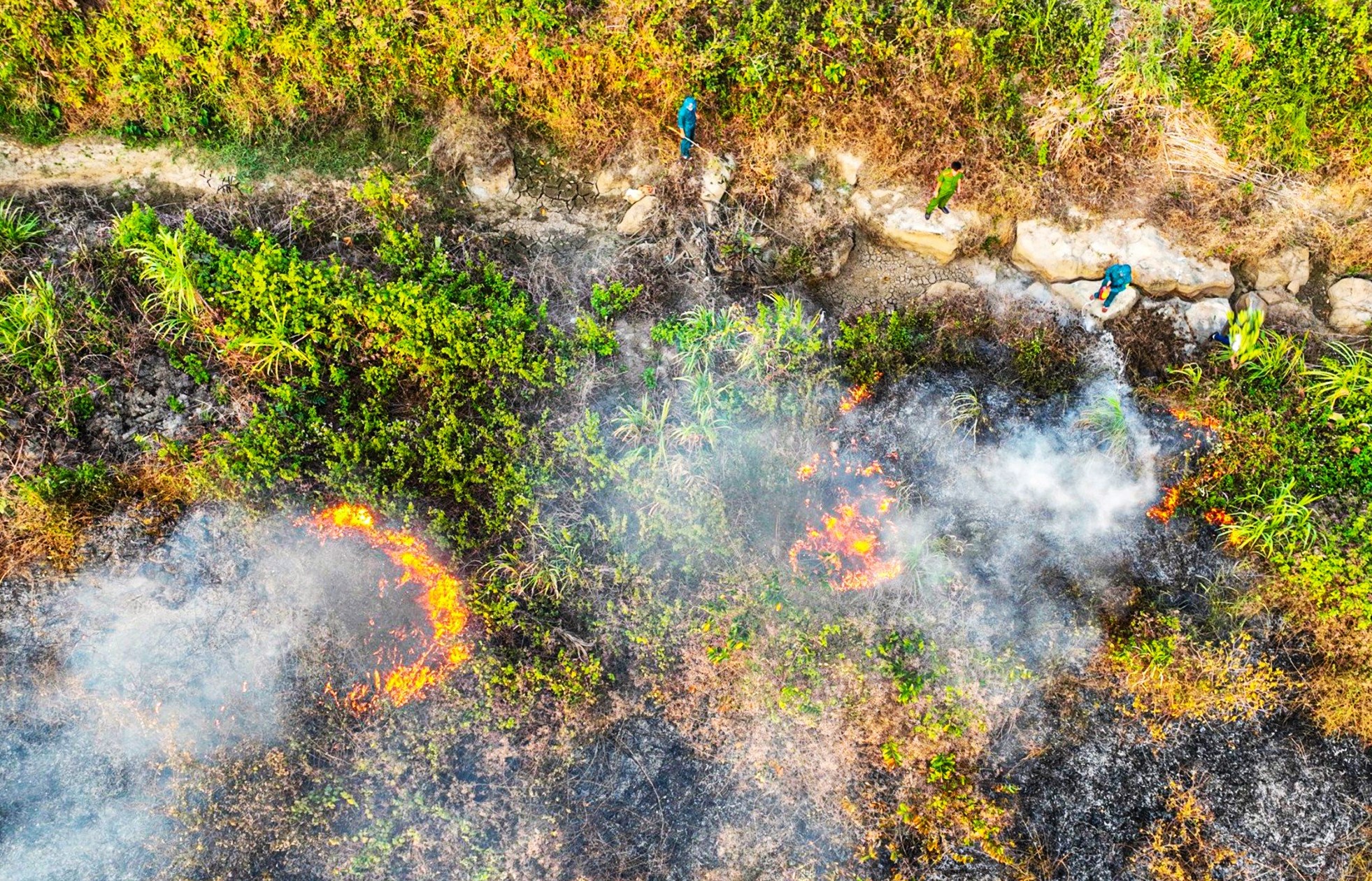 Đốt cỏ trong vườn, một gia đình ở Bảo Lộc, Lâm Đồng gây cháy sang cả vườn cà phê, dâu tằm của người dân- Ảnh 3.