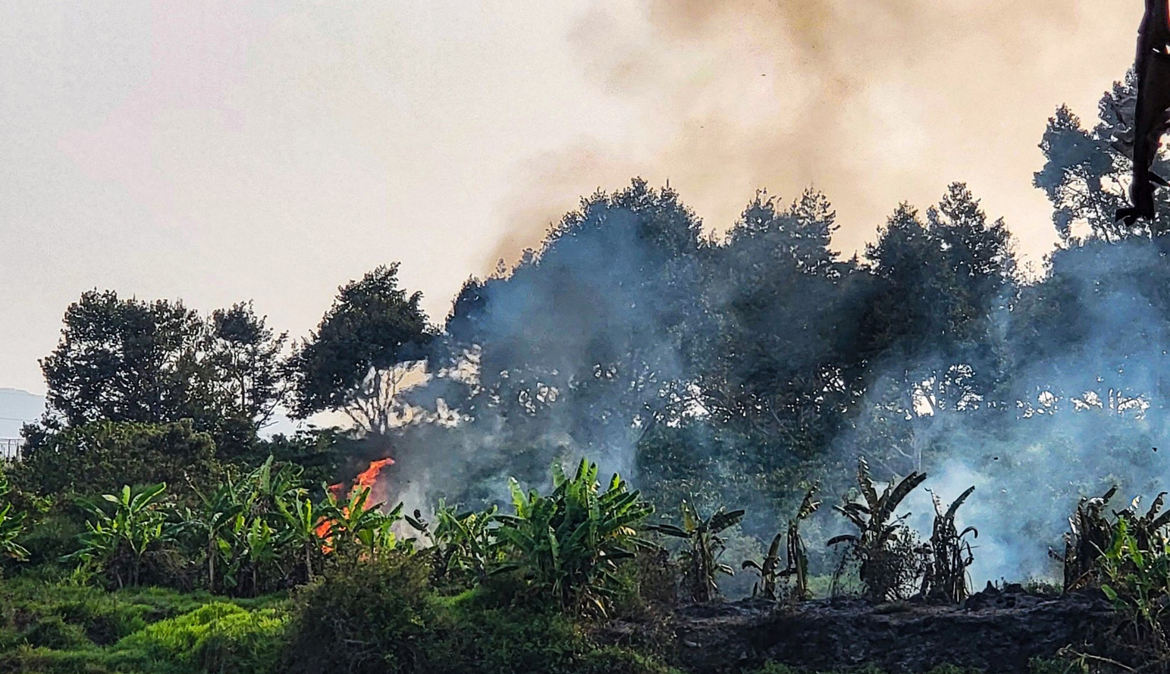 Đốt cỏ trong vườn, một gia đình ở Bảo Lộc, Lâm Đồng gây cháy sang cả vườn cà phê, dâu tằm của người dân- Ảnh 5.