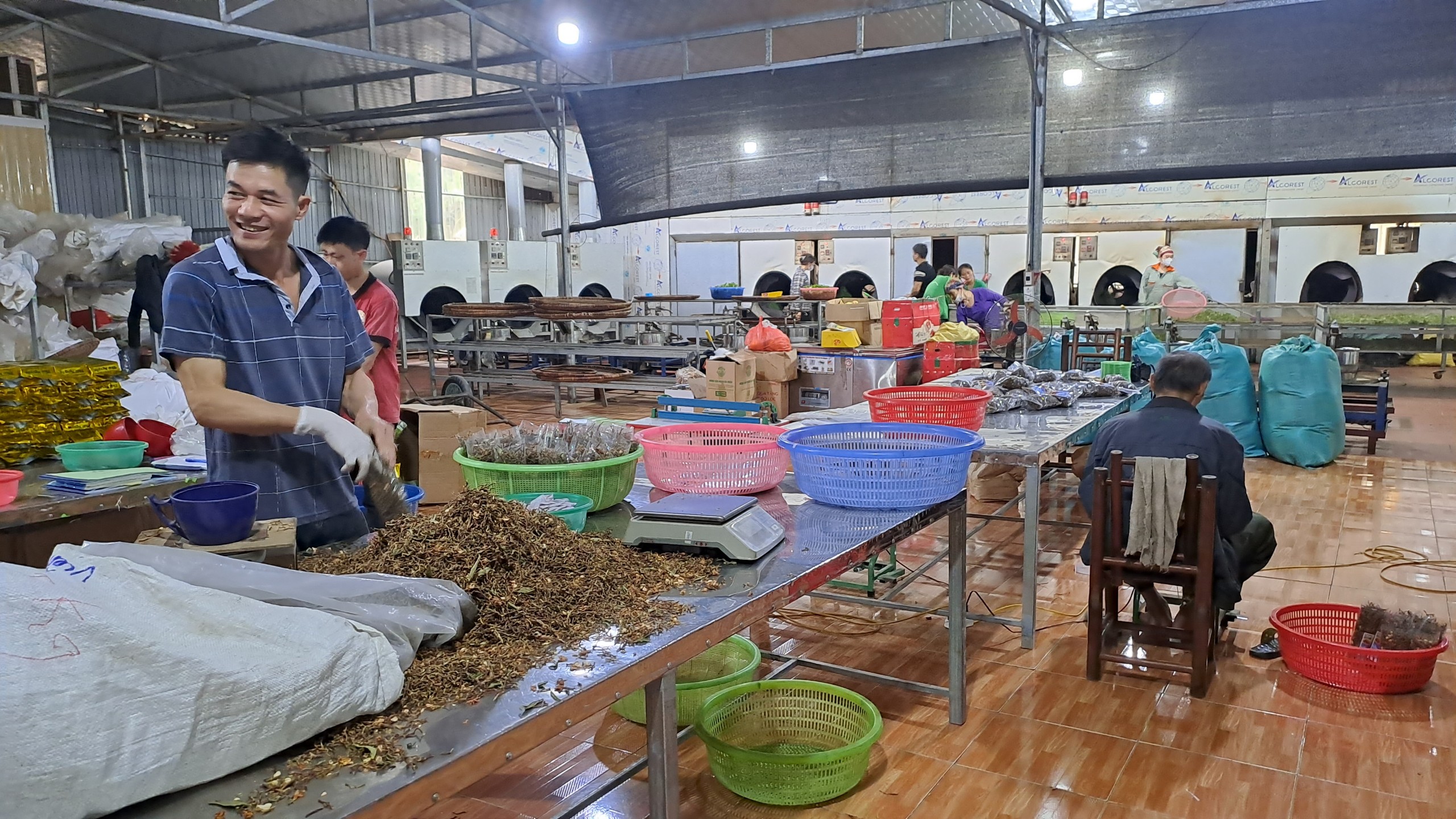 Một Hợp tác xã ở Thái Nguyên giúp nông dân có thêm việc làm, thu mua chè tươi hơn 30.000 đồng/kg - Ảnh 5.