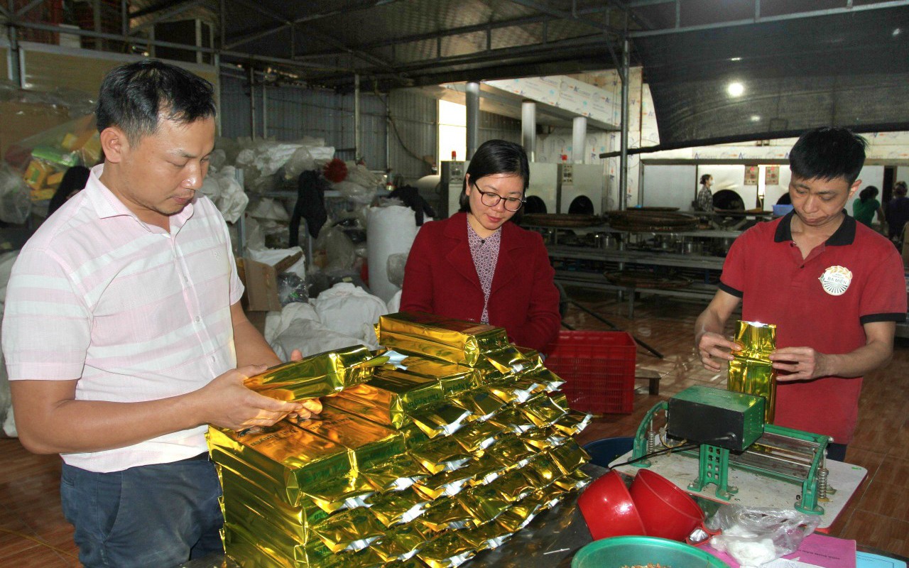 Một Hợp tác xã ở Thái Nguyên giúp nông dân có thêm việc làm, thu mua chè tươi hơn 30.000 đồng/kg 