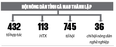 Nông dân Cà Mau xây dựng nhiều mô hình kinh tế tập thể từ Quỹ Hỗ trợ nông dân- Ảnh 2.