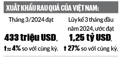 Xuất khẩu rau quả đã vượt 1 tỷ USD, Cục Bảo vệ thực vật đề nghị siết kiểm soát mã số vùng trồng sầu riêng- Ảnh 2.