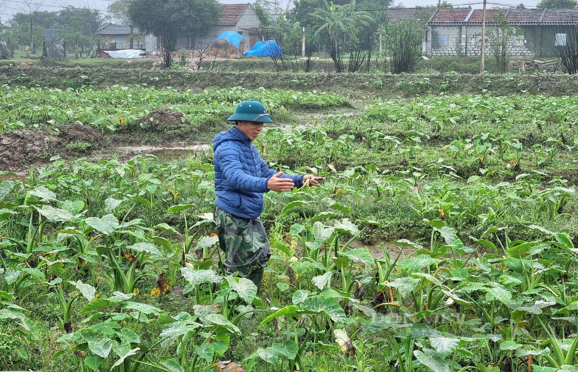 Thu nhập 63 triệu/người/năm, một huyện ở Ninh Bình phấn đấu đạt chuẩn nông thôn mới nâng cao- Ảnh 6.