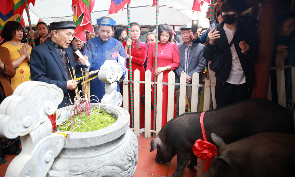 Một thôn của tỉnh Bắc Giang, dân thi nhau mua lợn đen về chăm, đến ngày giờ cho tắm rượu gừng mang đi cúng tế- Ảnh 1.