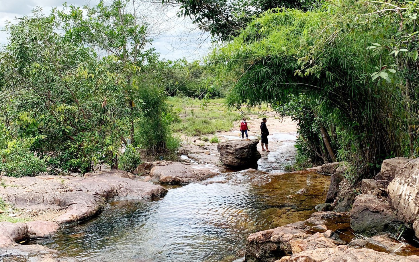 Vô một khu rừng nổi tiếng ở Bình Dương thấy dòng suối đẹp như phim, tên suối, tên cây rừng y chang nhau