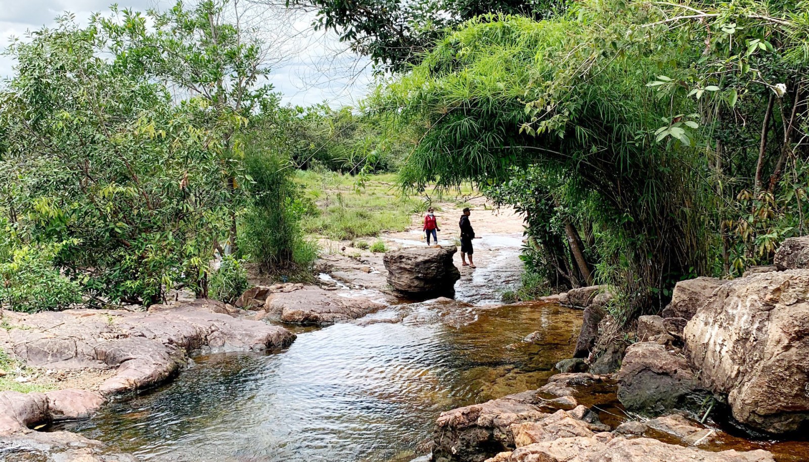 Vô một khu rừng nổi tiếng ở Bình Dương thấy dòng suối đẹp như phim, tên suối, tên cây rừng y chang nhau- Ảnh 2.