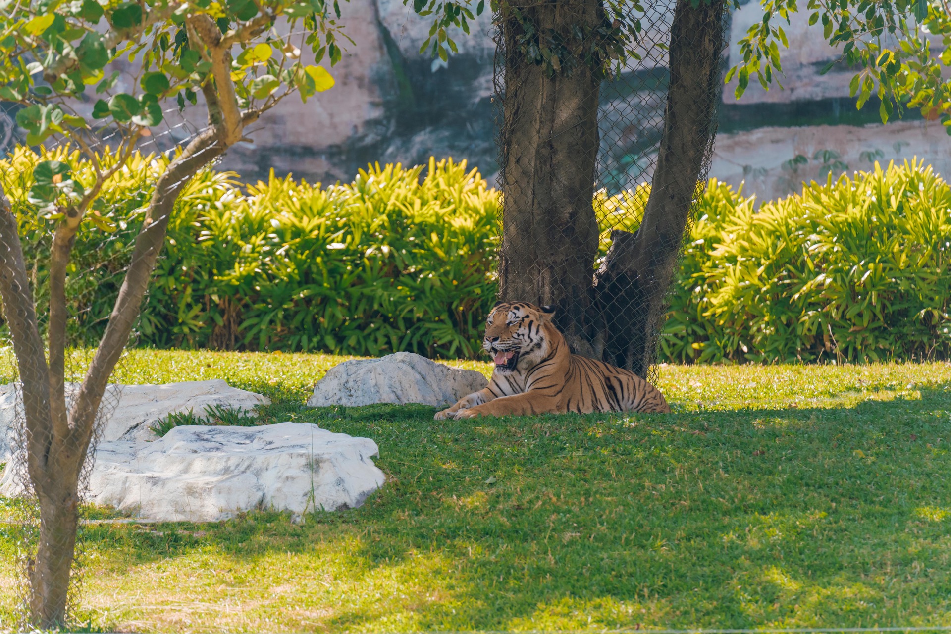 Sự sống hồi sinh ở River Safari Nam Hội An- Ảnh 4.