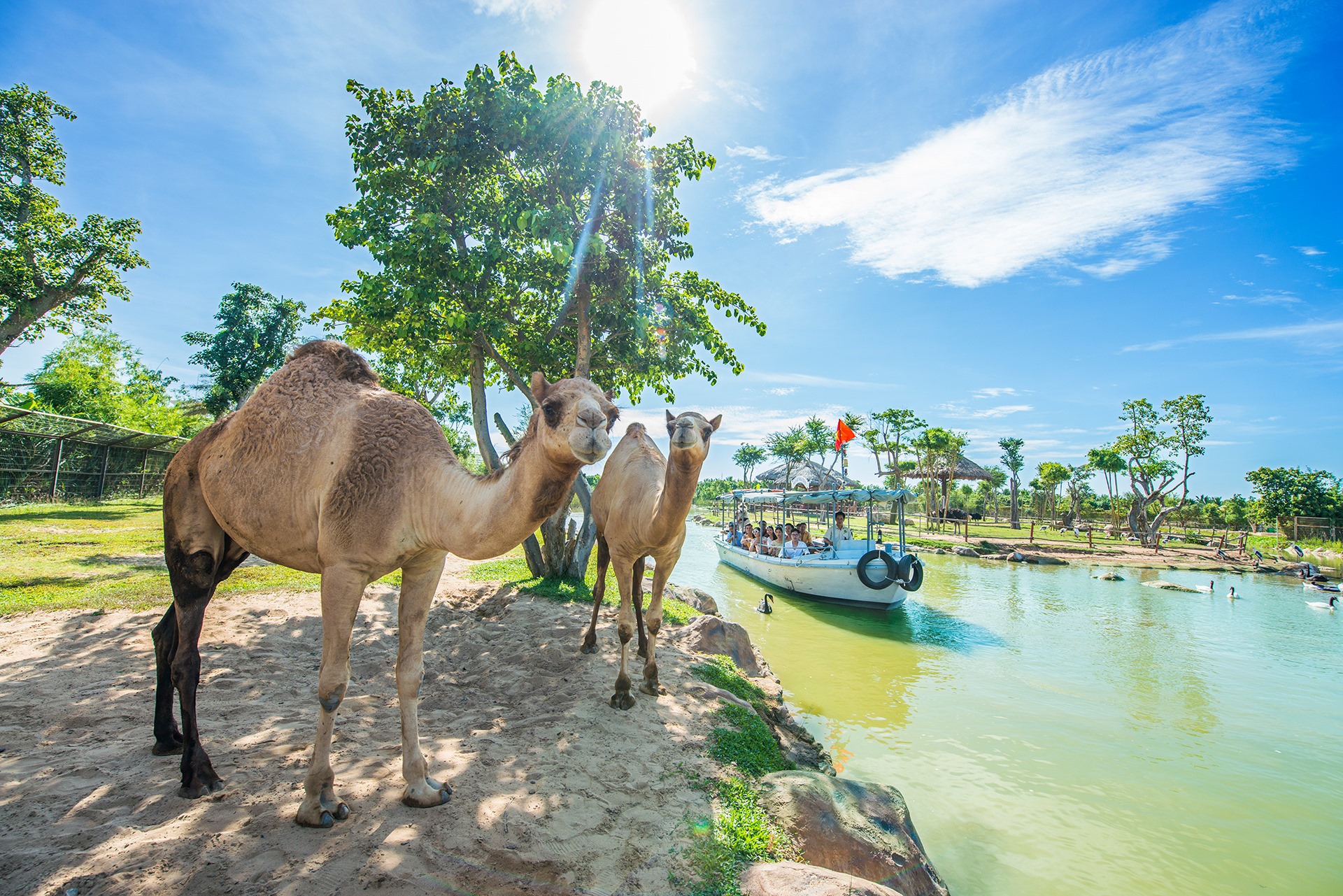 Sự sống hồi sinh ở River Safari Nam Hội An- Ảnh 7.