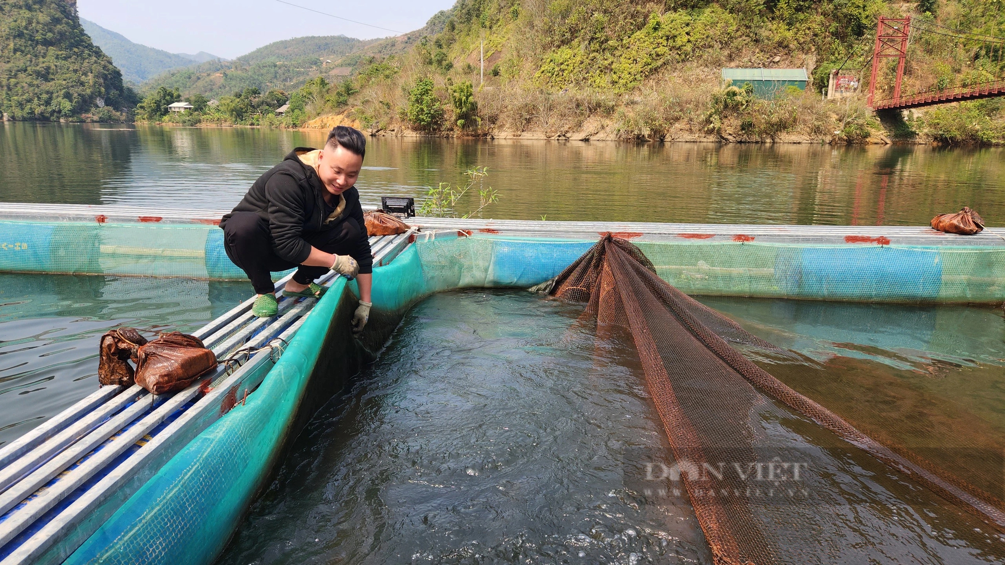 Nuôi cá đặc sản dày đặc trên một hồ thủy điện, 9X Lai Châu bắt bán thu gần 1 tỷ/năm- Ảnh 1.