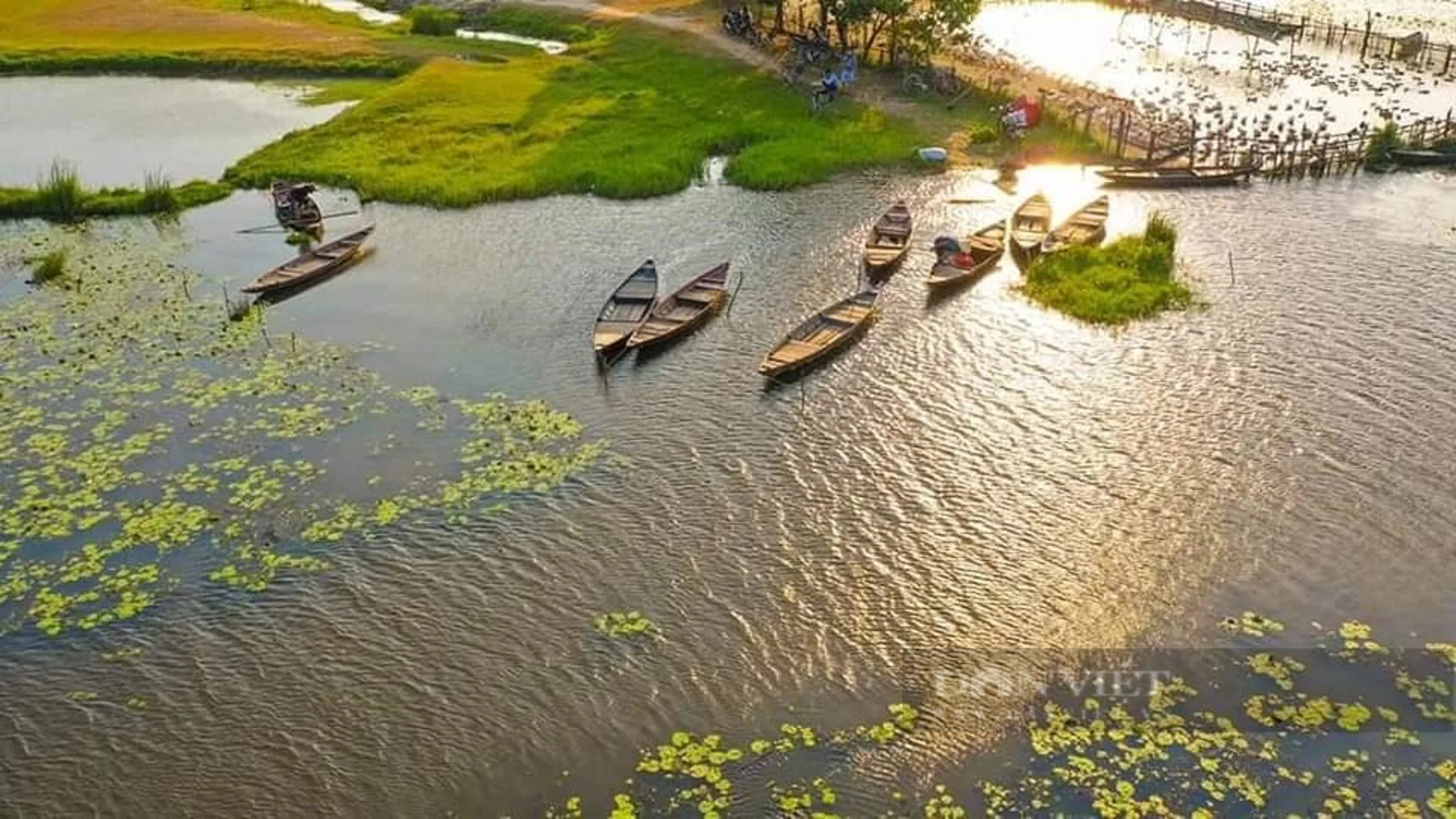 Thành phố nào của Quảng Nam nói không với xung điện tận diệt thủy sản, săn bắt các loài chim hoang dã?- Ảnh 2.