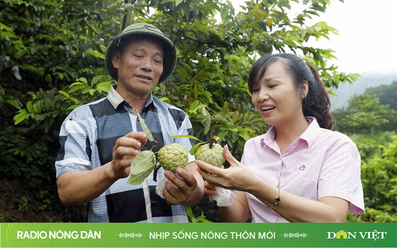 Nhịp sống nông thôn mới ngày 22/03/2024- Ảnh 1.