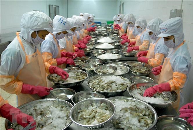Vì sao Trung Quốc tăng mua tôm từ Việt Nam, xuất khẩu tôm tăng 143%?- Ảnh 1.
