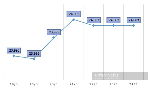 Giá USD hôm nay 23/3: Đồng bạc xanh tăng mạnh, trở lại ngưỡng 104- Ảnh 2.