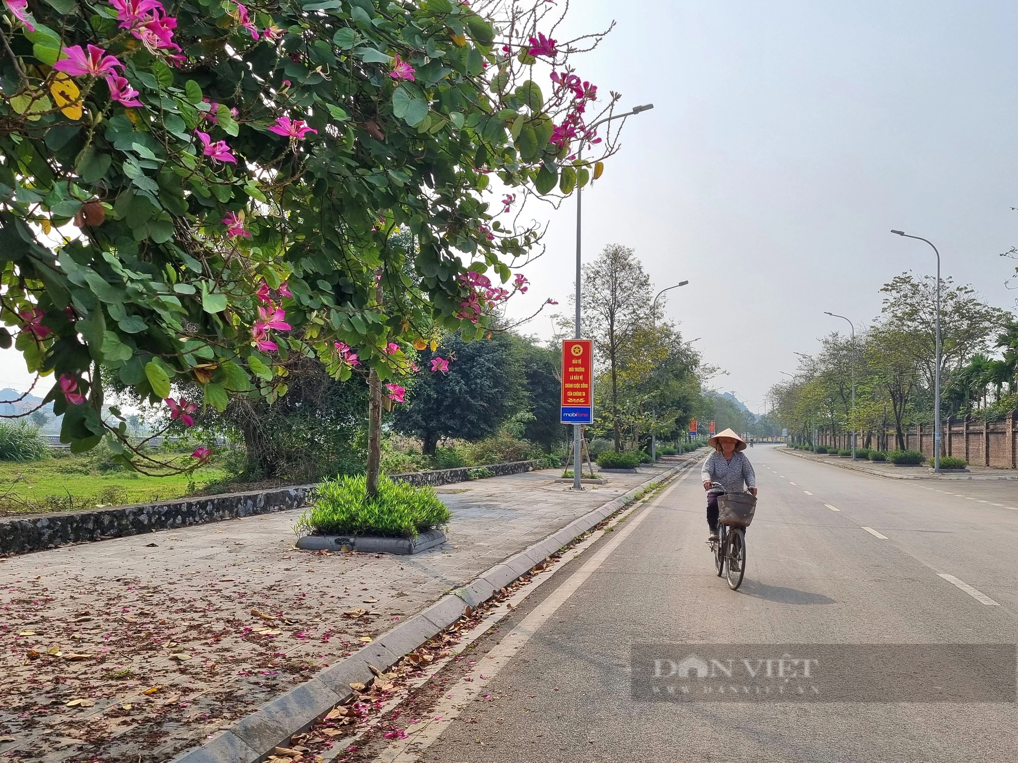 Đường hoa nông thôn mới ở một xã của Ninh Bình, tới nơi mới bất ngờ, 2 bên nở toàn hoa ban- Ảnh 2.