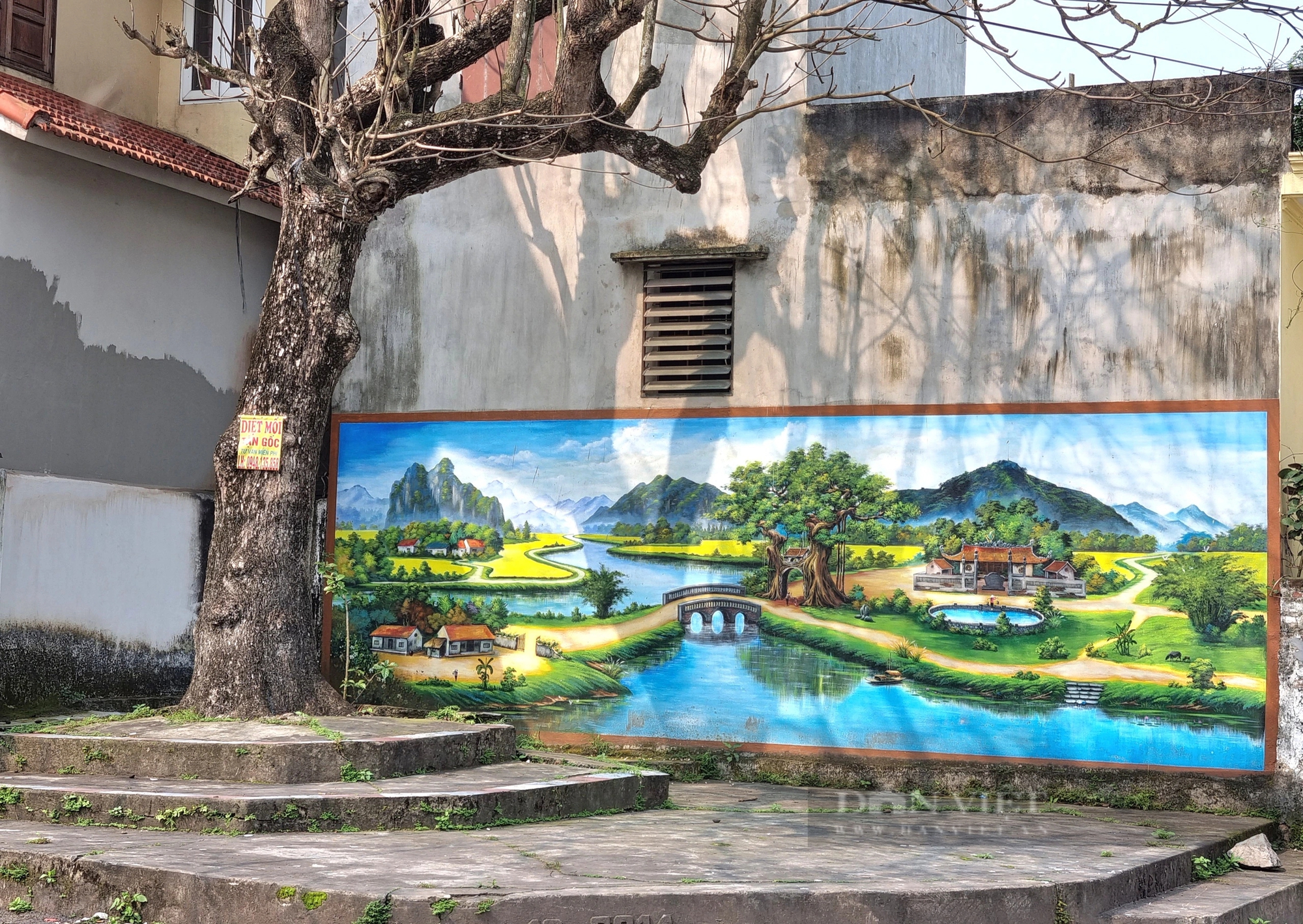 Đường hoa nông thôn mới ở một xã của Ninh Bình, tới nơi mới bất ngờ, 2 bên nở toàn hoa ban- Ảnh 10.