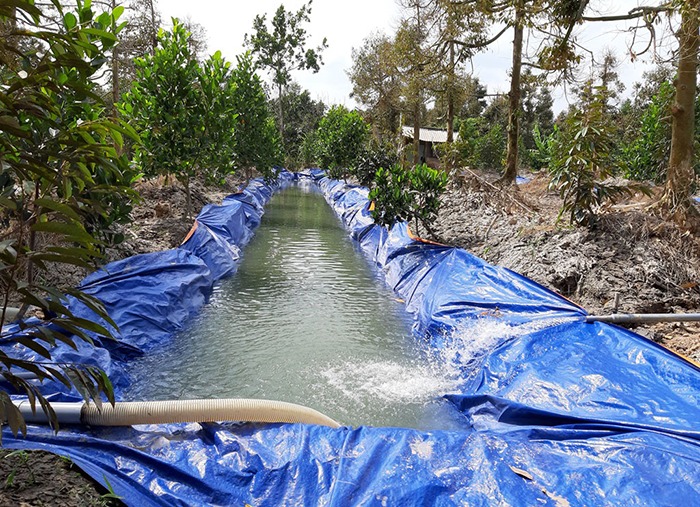 Nông dân Tiền Giang đang gấp gáp đào rãnh trong vườn trái cây lót bạt kín rồi trữ thứ này đây- Ảnh 2.