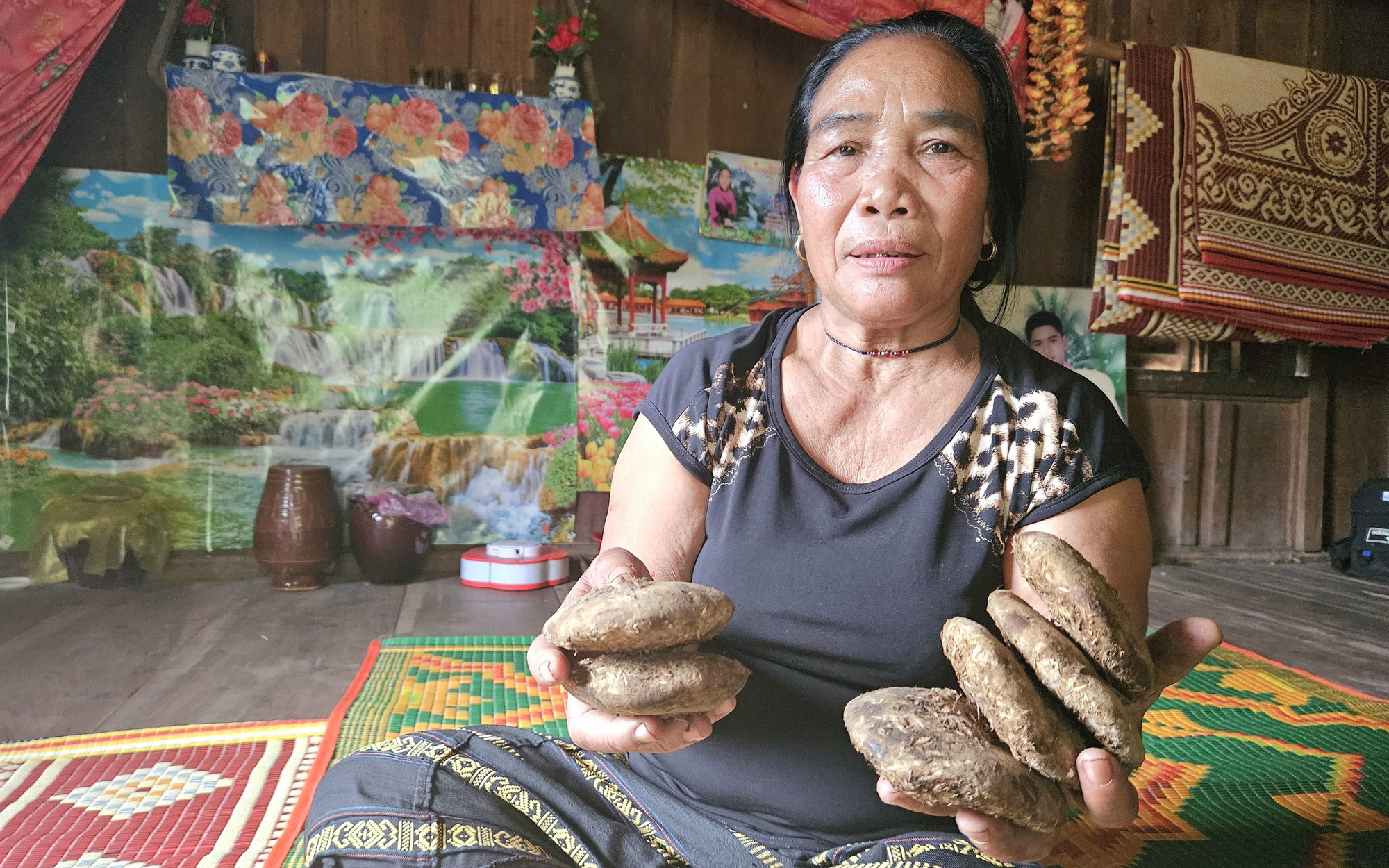 Một phụ nữ Bru-Vân Kiều rủ hàng xóm làm thứ men lá từ rễ 20 loài cây rừng, nấu loại rượu thơm khắp bản