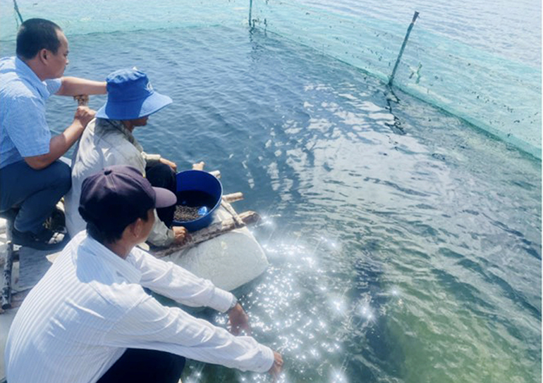 Loại cá đặc sản này nuôi thành công trong ao đất ở Phú Yên, bắt lên bán giá 150.000-250.000 đồng/kg- Ảnh 2.