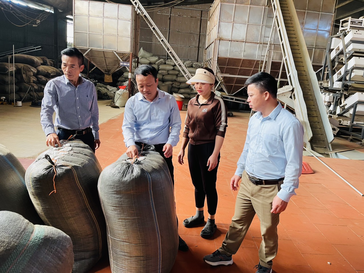 Hội Nông dân Việt Nam hỗ trợ HTX ở Nghệ An sản xuất chè theo chuỗi giá trị, thu nhập tăng 15%- Ảnh 2.