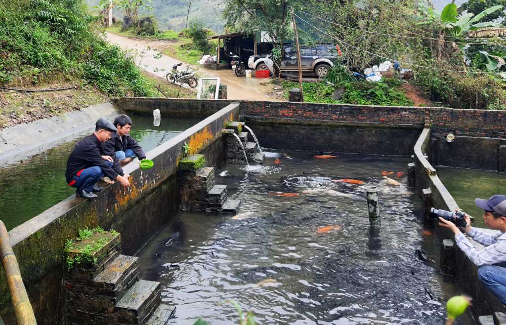 Ở một cái khe nước lạnh mát của Quảng Ninh, nuôi cá ngoại quốc thành công, bán 200.000 đồng/kg, thu tiền tỷ- Ảnh 2.