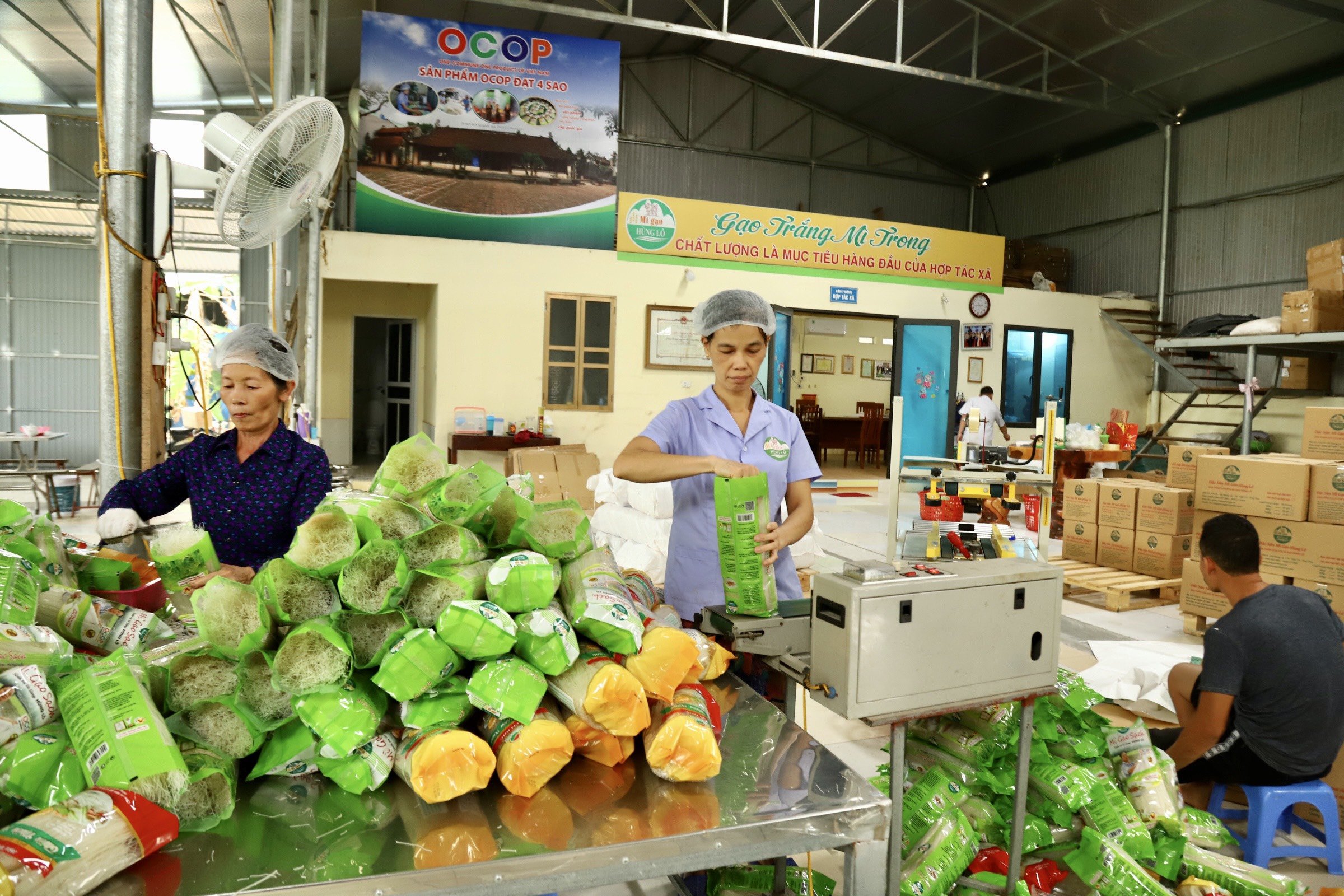 127 sản phẩm, đặc sản của 150 hợp tác xã sản xuất ở Phú Thọ được chứng nhận OCOP- Ảnh 1.