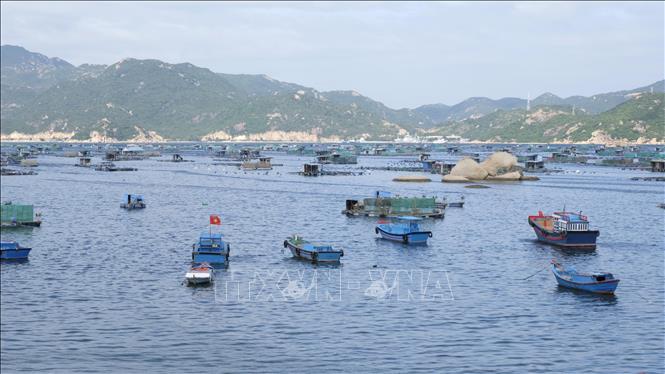 Hòn đảo đẹp như phim ở Khánh Hòa, cách Nha Trang 60km, cứ 10 hộ dân thì ít nhất 8 hộ nuôi tôm "quý tộc"- Ảnh 7.