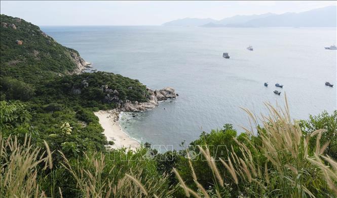 Hòn đảo đẹp như phim ở Khánh Hòa, cách Nha Trang 60km, cứ 10 hộ dân thì ít nhất 8 hộ nuôi tôm "quý tộc"- Ảnh 4.