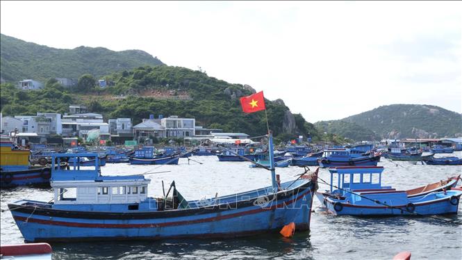 Hòn đảo đẹp như phim ở Khánh Hòa, cách Nha Trang 60km, cứ 10 hộ dân thì ít nhất 8 hộ nuôi tôm "quý tộc"- Ảnh 6.