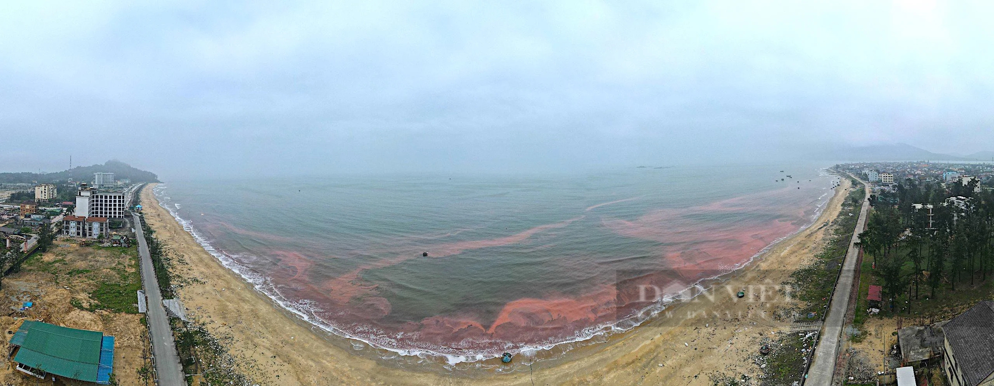 Nước biển chuyển thành màu đỏ ở Hà Tĩnh, ngư dân hạn chế ra khơi đánh cá- Ảnh 1.