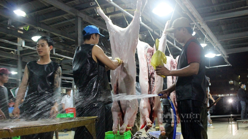 Khâu giết mổ đóng vai trò quan trọng để đảm bảo nguồn thịt tươi sống cung ứng cho thị trường. Ảnh: Trần Khánh
