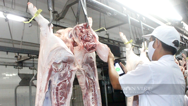 Hiệp hội chăn nuôi Đồng Nai đề nghị tỉnh nên tận dùng và nâng cấp các cơ sở giết mổ đang hoạt động tốt để cung ứng thực phẩm an toàn cho thị trường. Ảnh: Trần Khánh