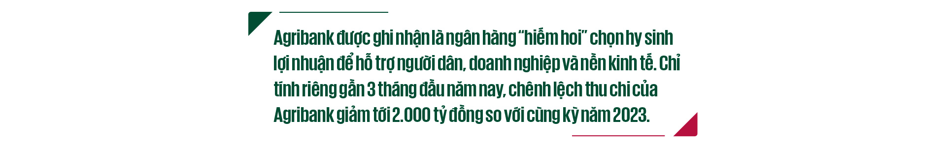 "Dấu ấn" khẳng định thương hiệu Agribank- Ảnh 13.