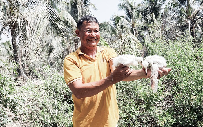 Nông dân xã Phú Nhuận ở Thanh Hóa nuôi con đặc sản, bán đắt tiền, thu nhập tăng lên thấy rõ- Ảnh 9.