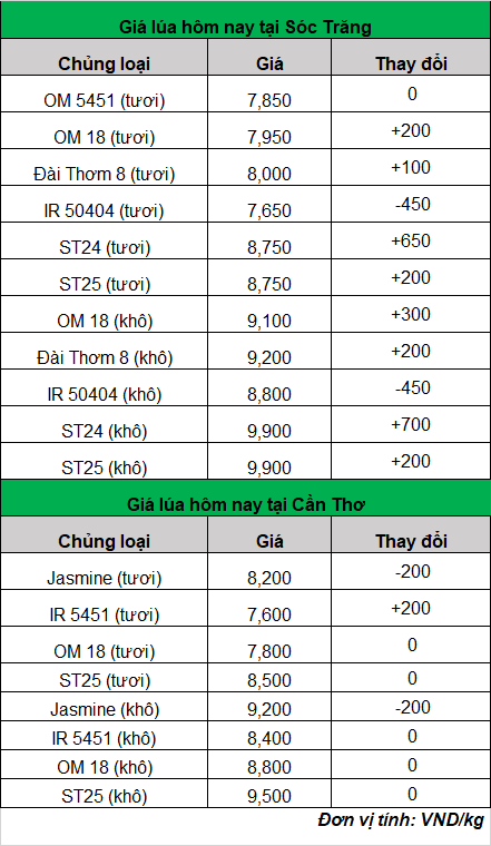 Giá lúa gạo hôm nay bật tăng trở lại- Ảnh 1.