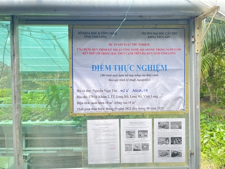 Ở Vĩnh Long đang nuôi lươn không bùn kết hợp trồng rau thủy canh, dân thu lợi kép, hiệu quả bất ngờ- Ảnh 1.