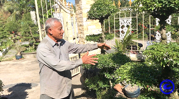 Thứ cây cảnh đang hot trên đất Tiền Giang hơn 100 năm, dân một xã trồng thành công, có nhà thu 10 tỷ- Ảnh 2.