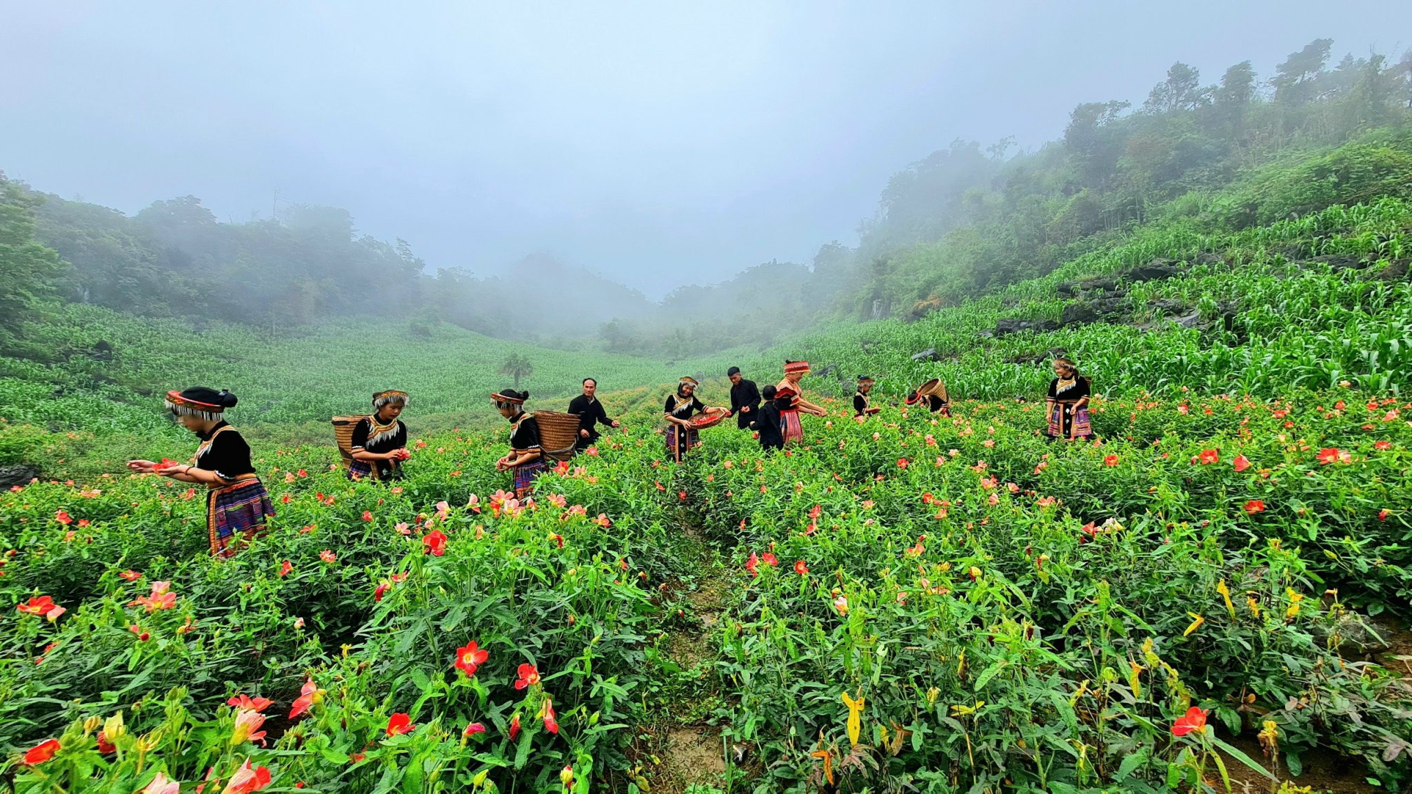 Xã cuối cùng ở Đồng Hỷ của Thái Nguyên nỗ lực về đích, cả huyện đạt chuẩn nông thôn mới năm 2025- Ảnh 1.