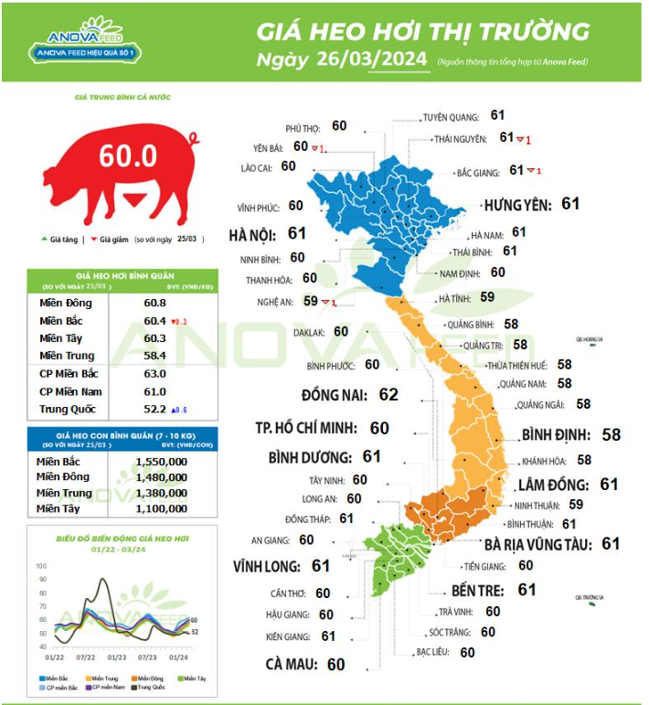 Giá lợn hơi đảo chiều ở miền Bắc, miền Nam vẫn thu mua tốt, Đồng Nai giữ đỉnh giá lợn cao nhất nước- Ảnh 1.