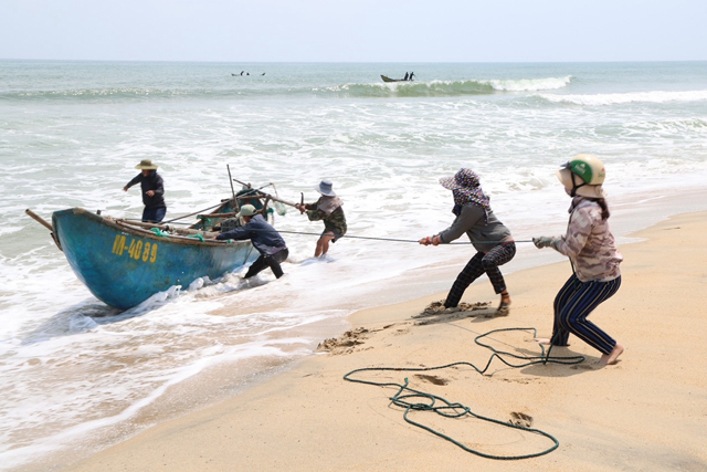 Quảng Ngãi: Ốc ruốc “lộc biển” mang thu nhập nhiều triệu đồng/ngày cho ngư dân biển ngang Đức Minh
- Ảnh 7.