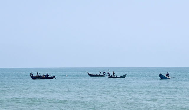 Quảng Ngãi: Ốc ruốc “lộc biển” mang thu nhập nhiều triệu đồng/ngày cho ngư dân biển ngang Đức Minh
- Ảnh 2.