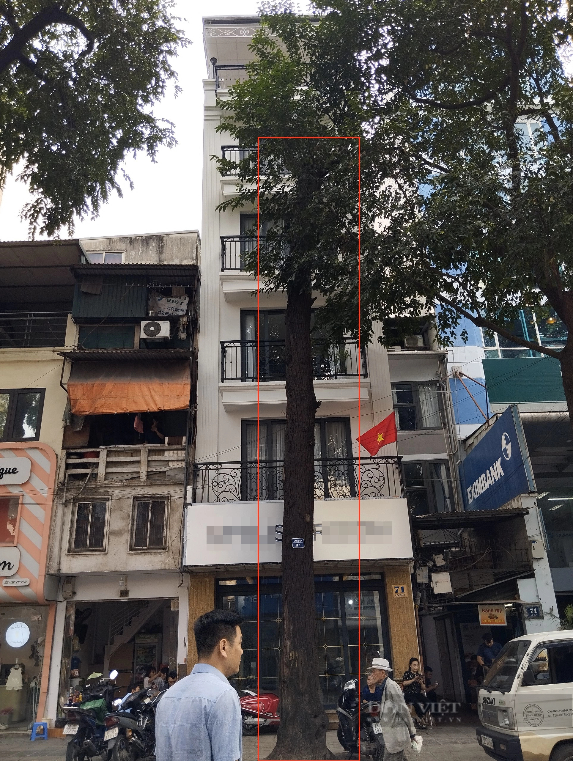 Vụ chặt cây sao đen ở Lò Đúc, Hà Nội: Thêm cây có dấu hiệu chết khô trước nhà cao tầng- Ảnh 2.