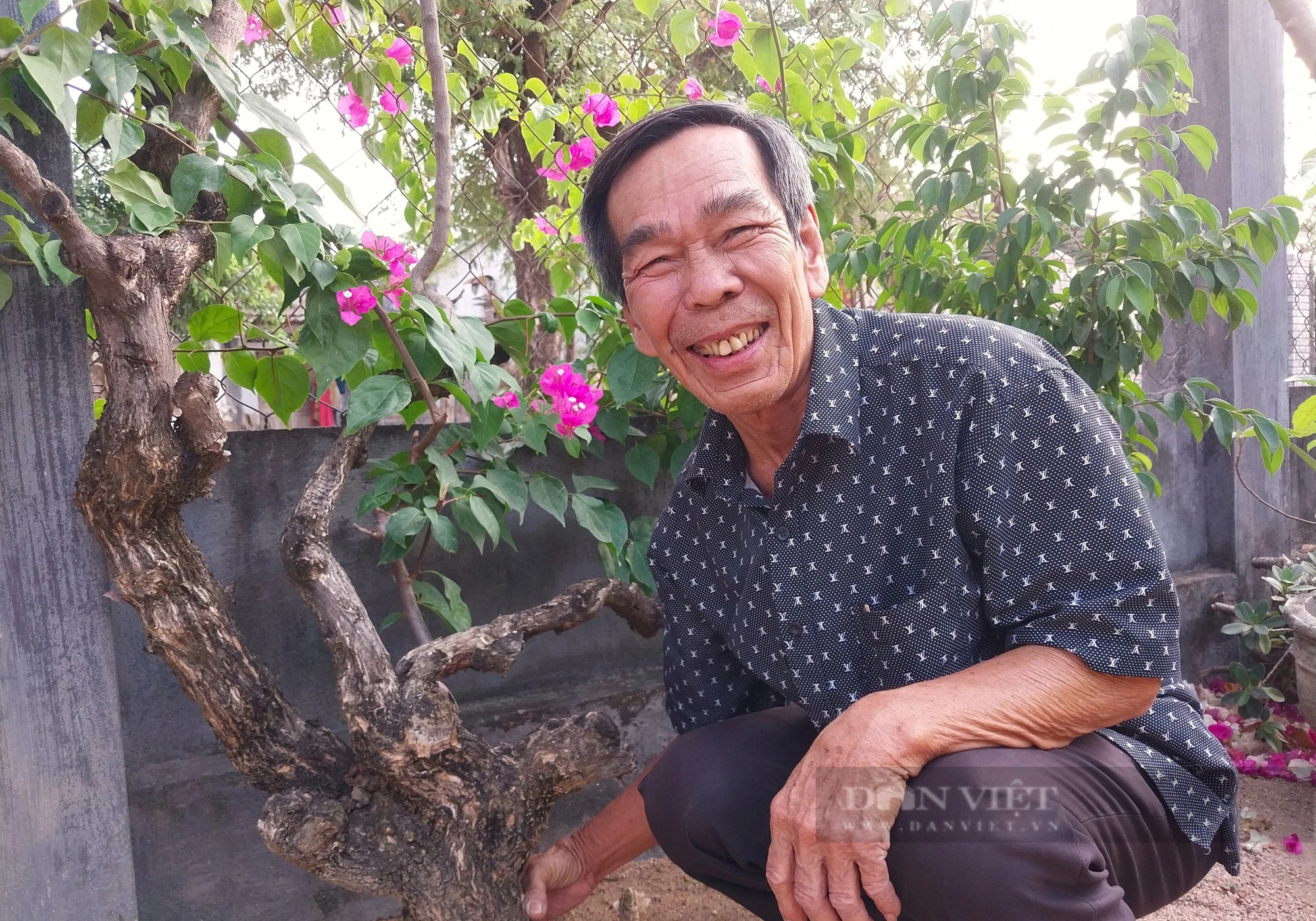 Xôn xao giàn hoa giấy hai màu đẹp như phim ở xã nông thôn mới một huyện miền núi Ninh Thuận- Ảnh 10.