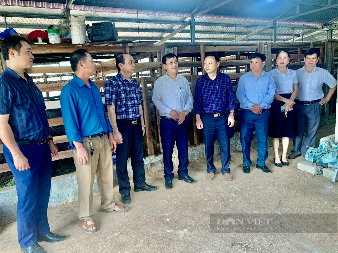 Nông dân xã Phú Nhuận ở Thanh Hóa nuôi con đặc sản, bán đắt tiền, thu nhập tăng lên thấy rõ- Ảnh 8.
