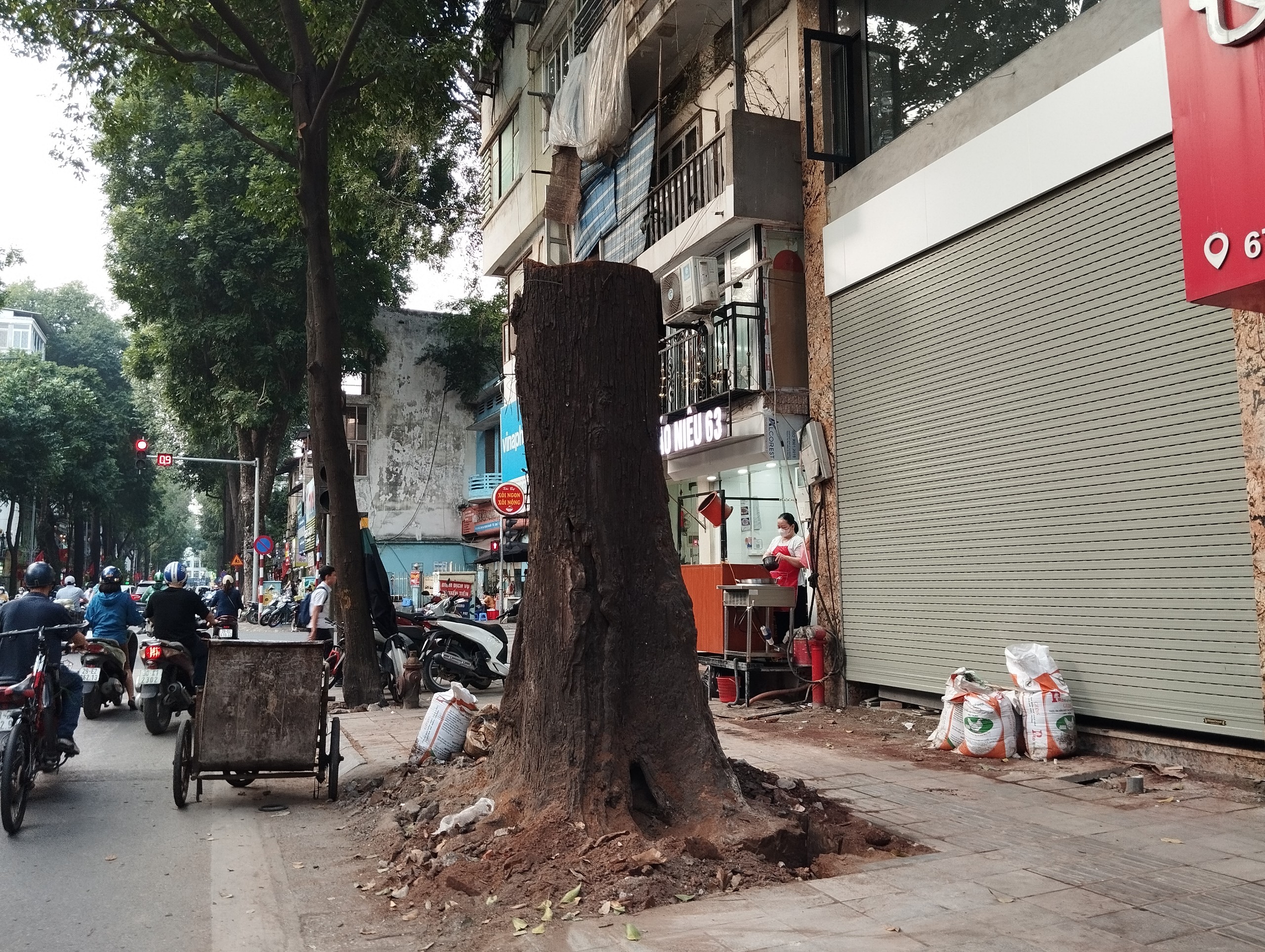 Công ty Cây xanh Hà Nội đề nghị điều tra nguyên nhân cây sao đen trăm tuổi trên phố Lò Đúc bị chết khô- Ảnh 2.