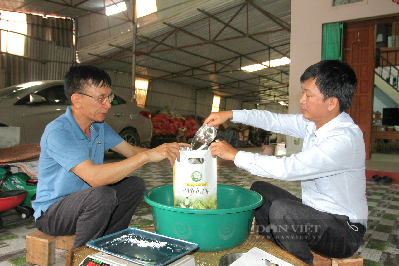 Trồng giống lúa nếp hạt đầy, dẻo ngậy, thơm nức, một HTX ở Thái Nguyên cứ bán ra là hết nhanh- Ảnh 2.