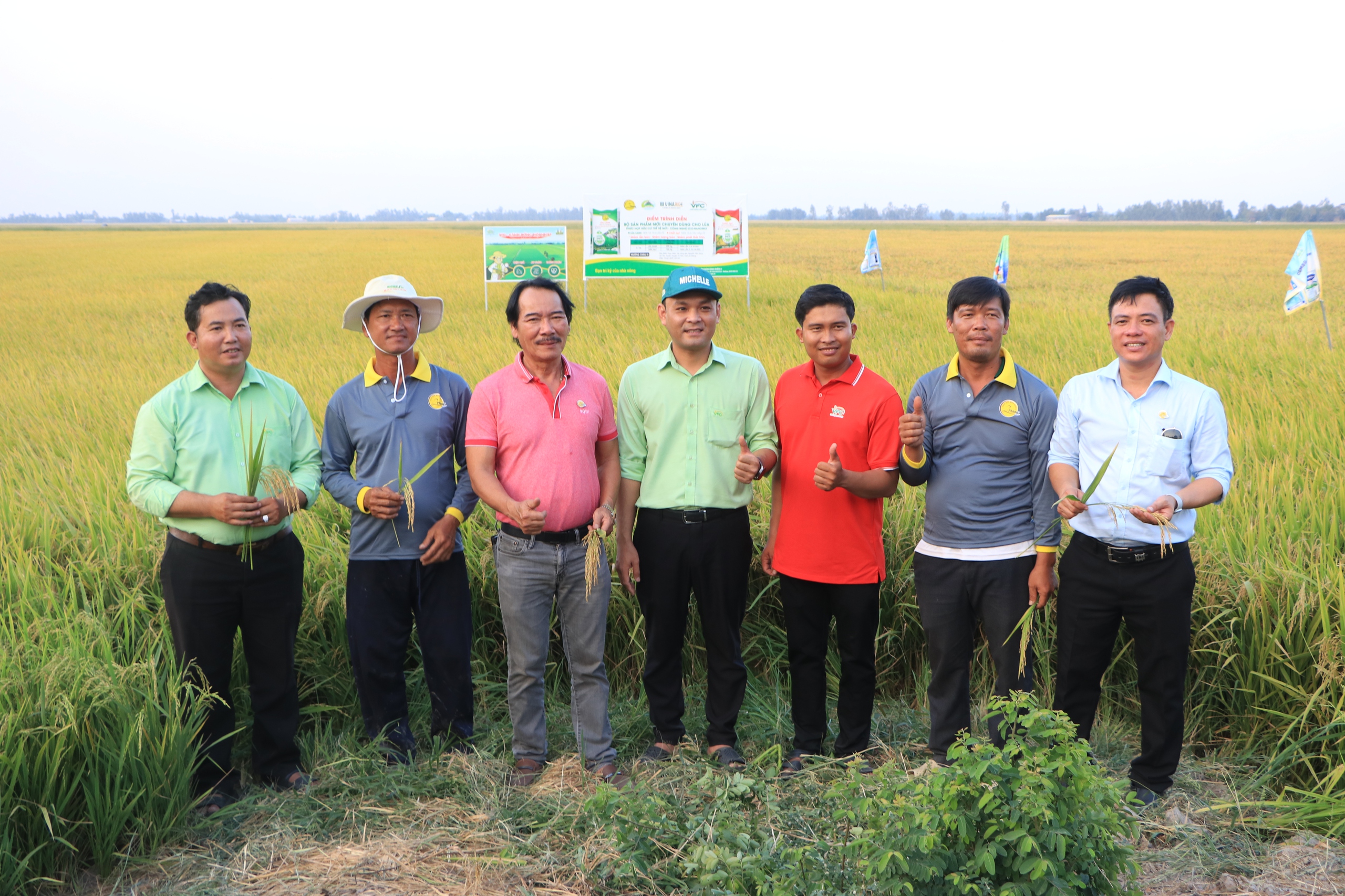 Hợp tác ba bên, giúp người trồng lúa nâng cao thu nhập- Ảnh 4.