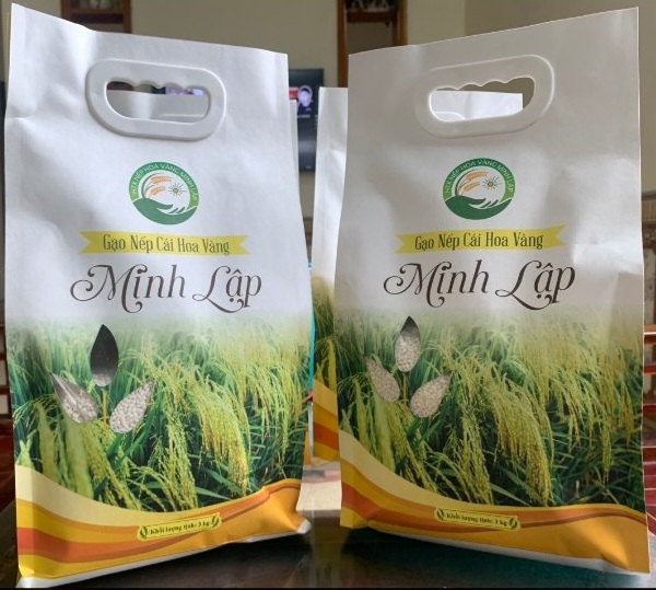 Trồng giống lúa nếp hạt đầy, dẻo ngậy, thơm nức, một HTX ở Thái Nguyên cứ bán ra là hết nhanh- Ảnh 3.