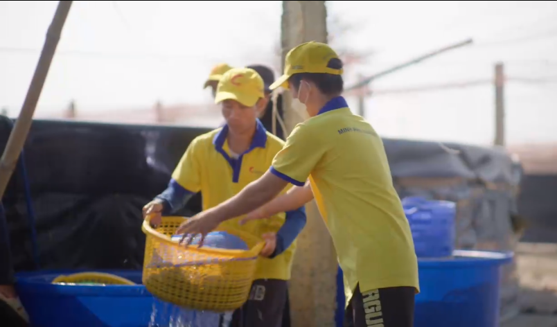 Đằng sau việc "vua tôm" Minh Phú nhắm vào thị trường nội địa và chuyện báo lỗ kỷ lục năm 2023- Ảnh 5.